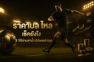 ราคาบอล ไหล เช็คยังไง